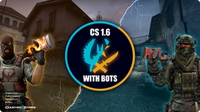 CS 1.6 c ботами